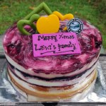 BLUE BERRY CHEESE CAKE - 09